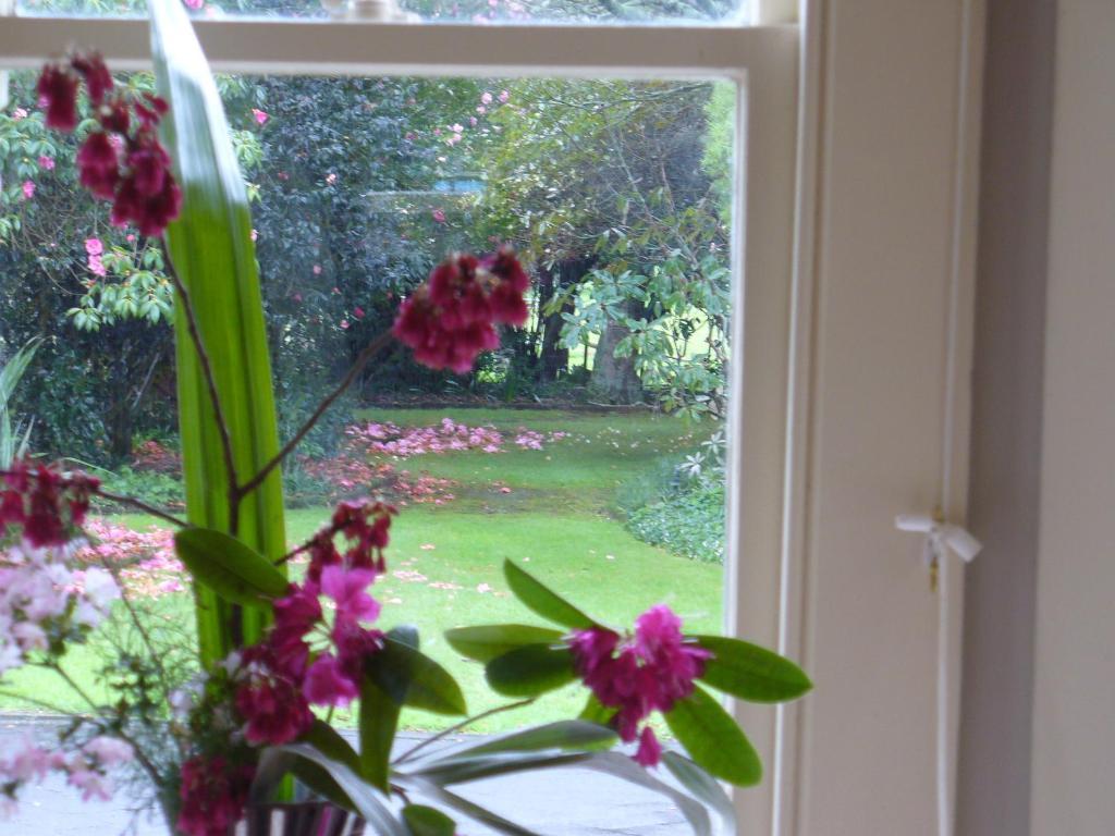 Oak Lane Lodge Hamilton Zimmer foto